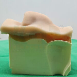 Model nose 2 scaled 1.jpg